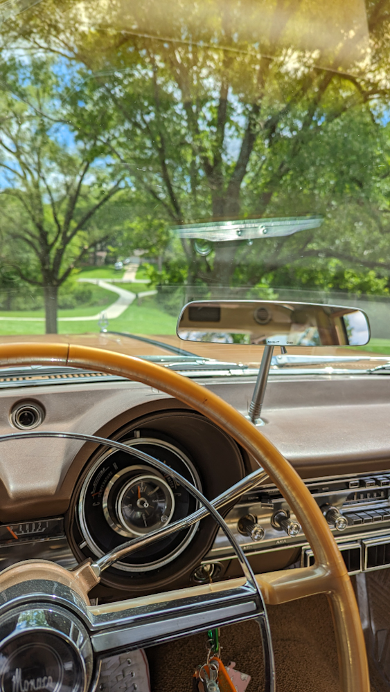 Looking out from the previously pictured wagon at a gorgeous park.